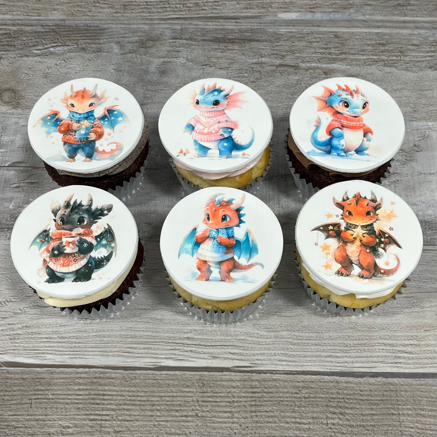 Petits dragons d’hiver